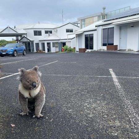 Coastal Motel Apollo Bay Esterno foto